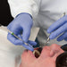 Dental Technician in Light Indigo Nitrile Gloves Examining Patient Mouth 