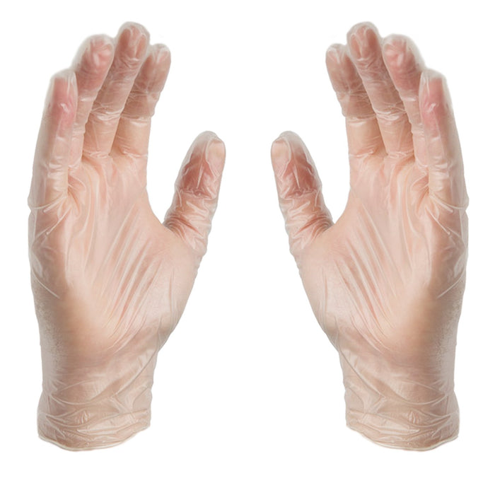 Front of Hands Modeling Clear Vinyl Industrial Gloves 